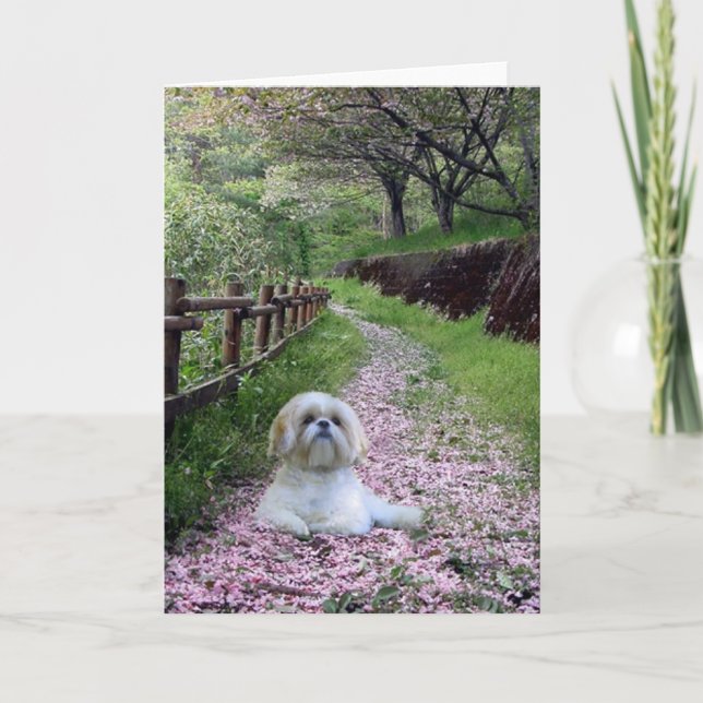 Shih Tzu kortlila blommor Kort (Framsida)
