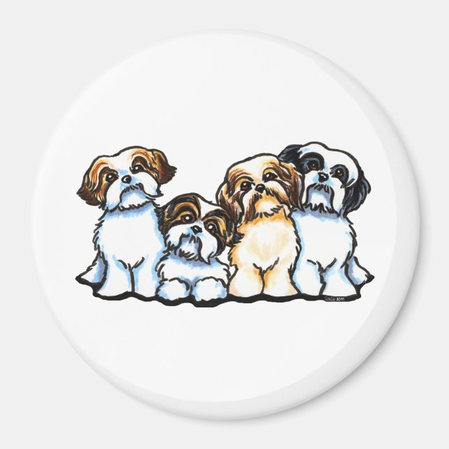 Shih Tzu-kvartetten Magnet (Framsidan)