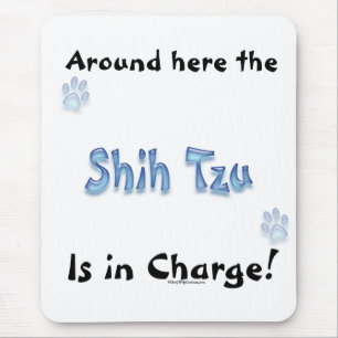 Shih Tzu laddning Musmatta
