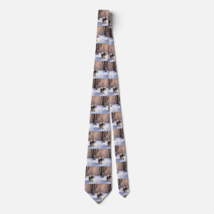 Shih Tzu Låt Det Snöa Jul  Slips