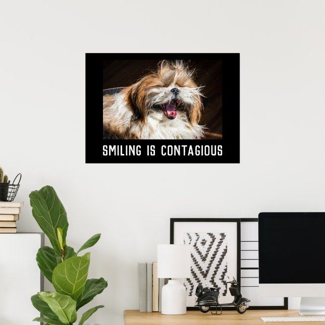 Shih tzu laughing smile customize photo text  poster (Hemmakontoret)