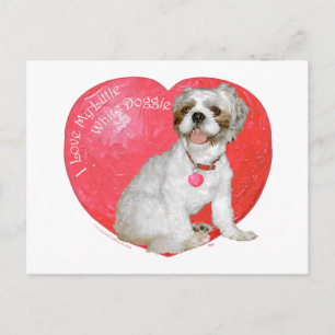 Shih Tzu/Lhasa Apso valentin dag Helg Vykort