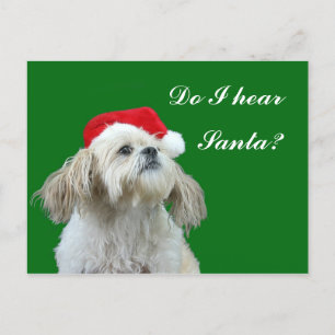 Shih Tzu lyssnar för Santa Helg Vykort