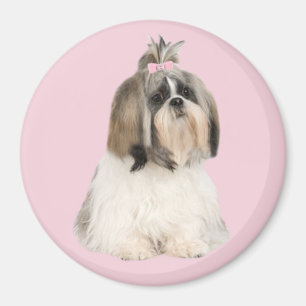 Shih Tzu magnet