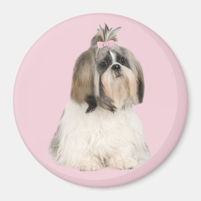 Shih Tzu Magnet (Framsidan)