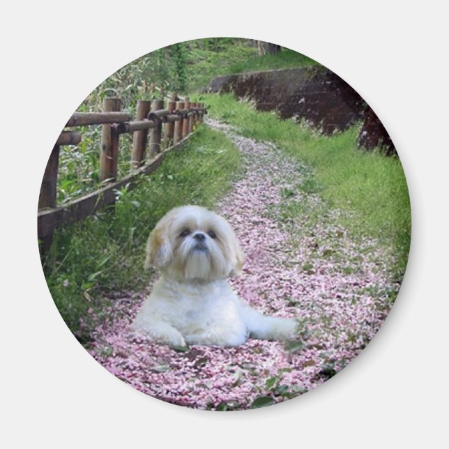 Shih Tzu Magnet Lila blommor (Framsidan)