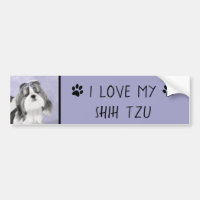 Shih Tzu målning - gullig original- hundkonst