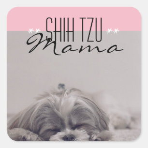 Shih Tzu Mamma Sticker för Hund Mammor Fyrkantigt Klistermärke