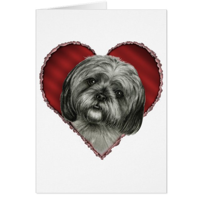 Shih Tzu med hjärta Hälsningskort (Framsidan)