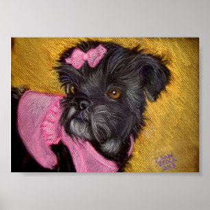 Shih-tzu med Rosa Bow Poster