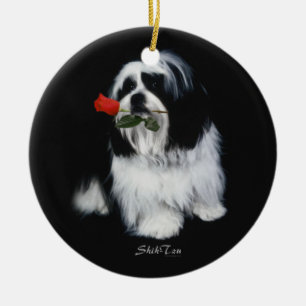 Shih Tzu med steg Julgransprydnad Keramik