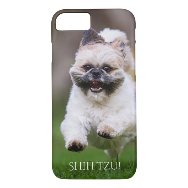 Shih Tzu mobilt fodral Case-Mate iPhone Skal (Baksida)