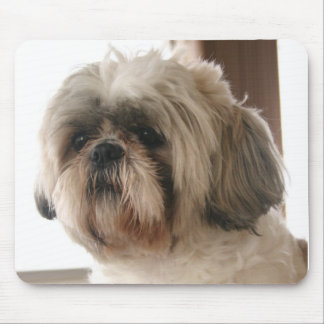 Shih Tzu Mousepad Musmatta