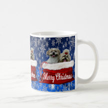 Shih tzu Mugg jul