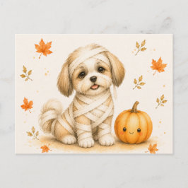 Shih Tzu-mumie Halloween Vykort