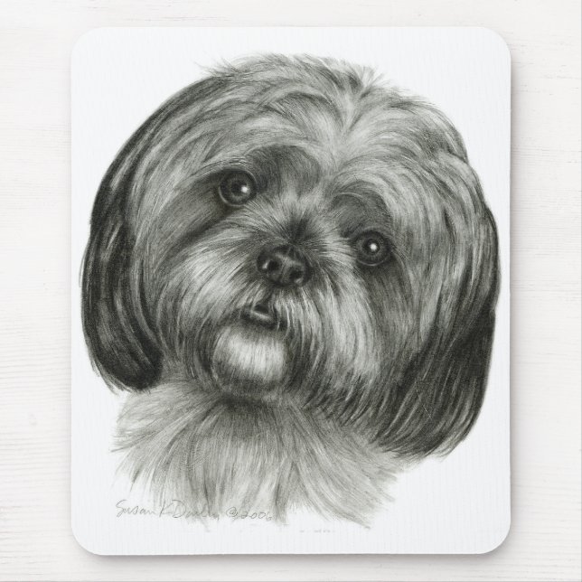 Shih Tzu Musmatta (Framsidan)