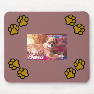 Shih-Tzu Musmatta