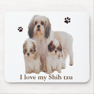 Shih tzu musmatta