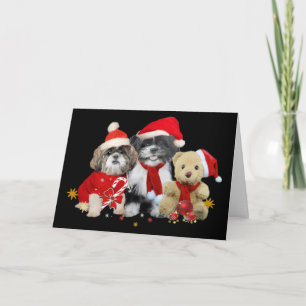 Shih Tzu & Nalle Julafton Card Helgkort