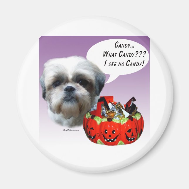 Shih Tzu (naturlig) Halloween Candy Magnet (Framsidan)