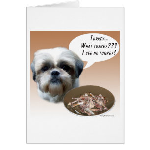 Shih Tzu (naturligt) Turkiet Hälsningskort