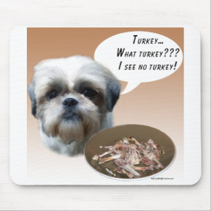 Shih Tzu (naturligt) Turkiet Musmatta