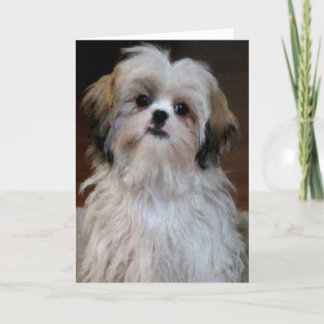 Shih Tzu noterar kortet Kort