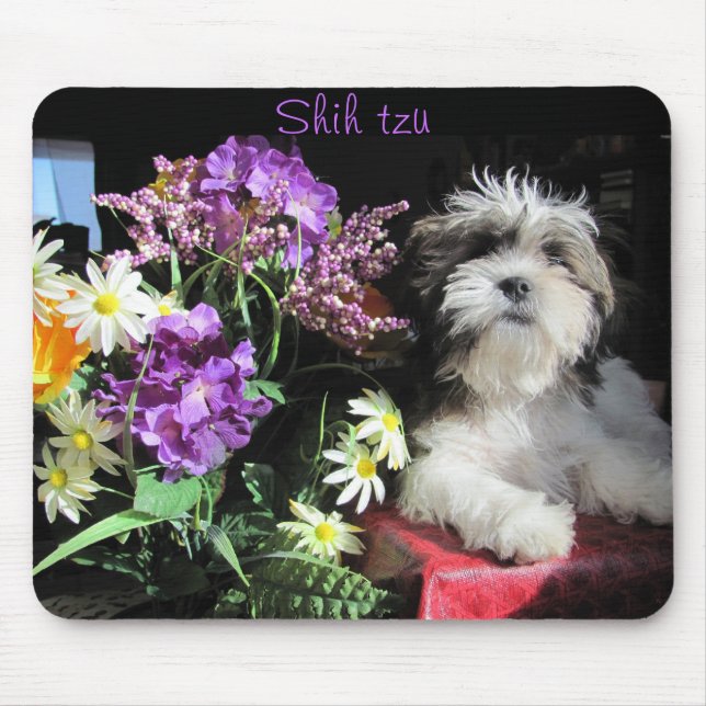 Shih tzu och blommor musmatta (Framsidan)