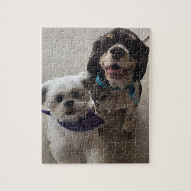 Shih Tzu och pussel för cockerspanielSpanielhund (Vertikal)