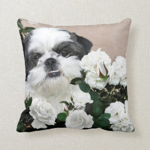 Shih Tzu och ro Kudde