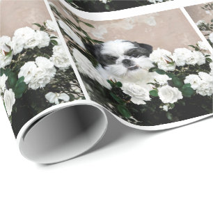 Shih Tzu och ro Presentpapper