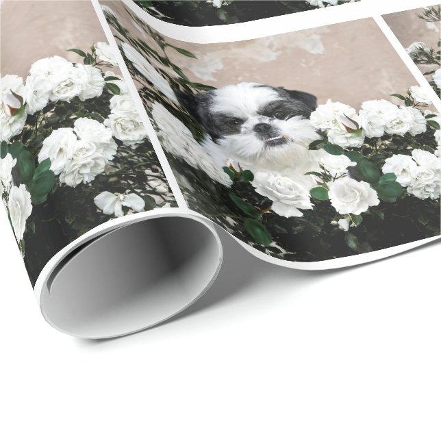 Shih Tzu och ro Presentpapper (Rullad Hörn)