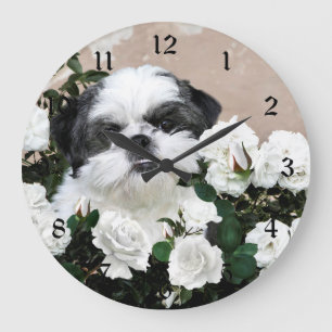 Shih Tzu och ro Stor Klocka