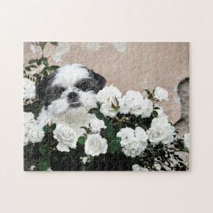 Shih Tzu och rosor Pussel