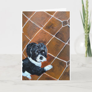 Shih Tzu om Alfred Fox målning av terroristen Kort
