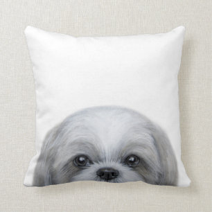 Shih Tzu original vid miart Kudde