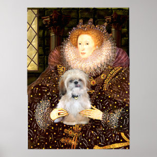 Shih Tzu (P) - Drottning Poster