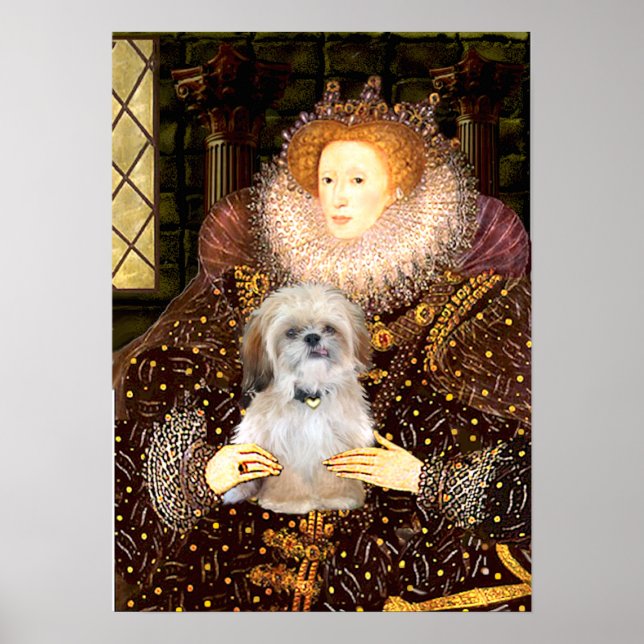 Shih Tzu (P) - Drottning Poster (Framsidan)