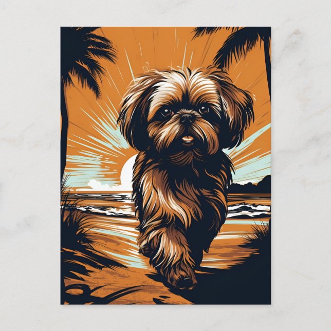 Shih-tzu på stranden vykort (Framsida)