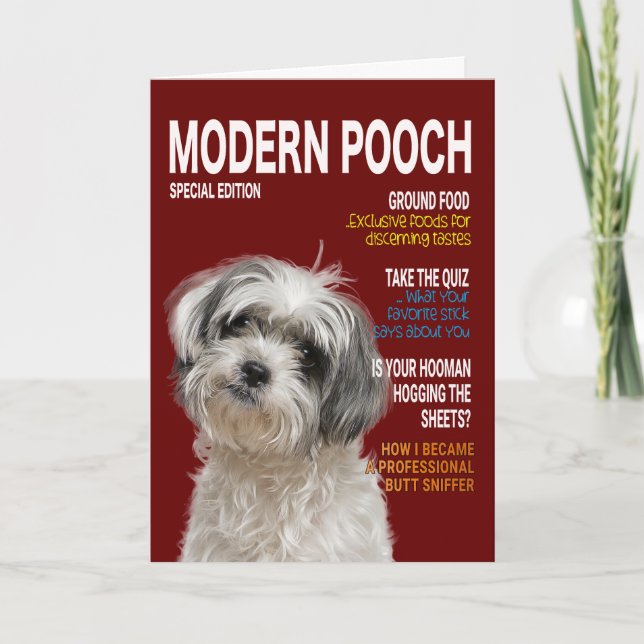 Shih Tzu Parody Magazine Cover Card Kort (Framsida)