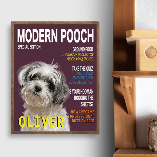 Shih Tzu Parody Magazine Cover Fototryck (Skapare uppladdad)