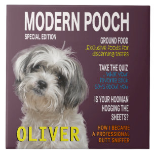 Shih Tzu Parody Magazine Cover Kakelplatta