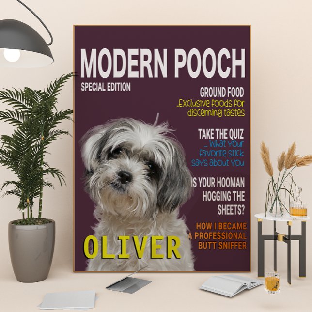 Shih Tzu Parody Magazine Cover Poster (Skapare uppladdad)