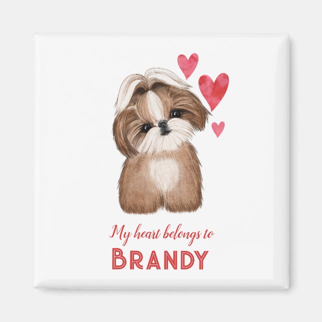 Shih Tzu-Personligen Jag lyssnar på Tillhören till Magnet (Framsidan)