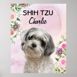 Shih Tzu-Personligen Poster