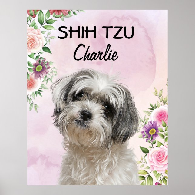 Shih Tzu-Personligen Poster (Framsidan)