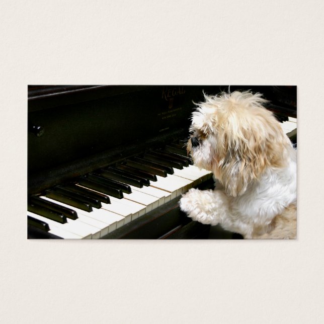 Shih Tzu piano-lektioner Visitkort (Framsidan)