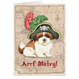 Shih Tzu Pirat Card Hälsningskort