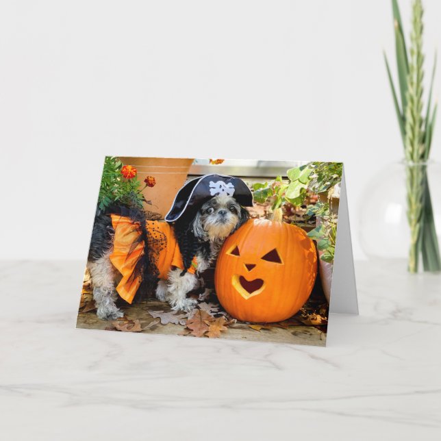 Shih Tzu Pirat Girl Greeting Card Helgkort (Framsida)