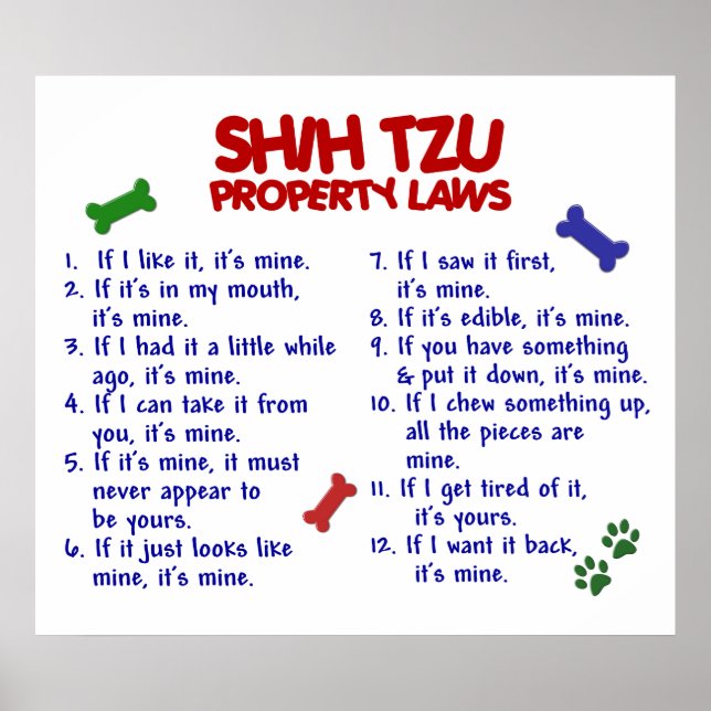 SHIH TZU PL2 POSTER (Framsidan)
